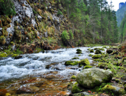 Adventure and Chaos on Montana’s Welcome Creek Wilderness Trail: A Spring Training Hike to Remember!